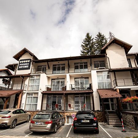 Artemis Villa Poiana Brasov Bagian luar foto