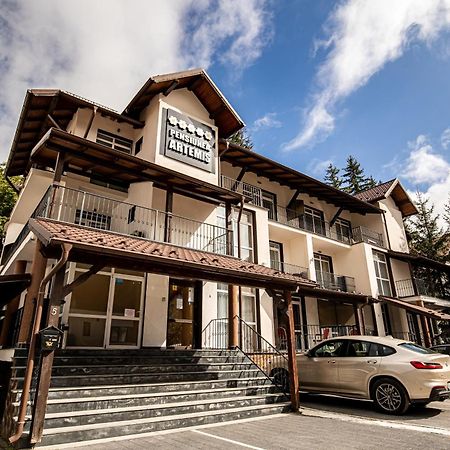 Artemis Villa Poiana Brasov Bagian luar foto