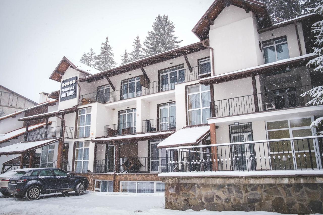 Artemis Villa Poiana Brasov Bagian luar foto