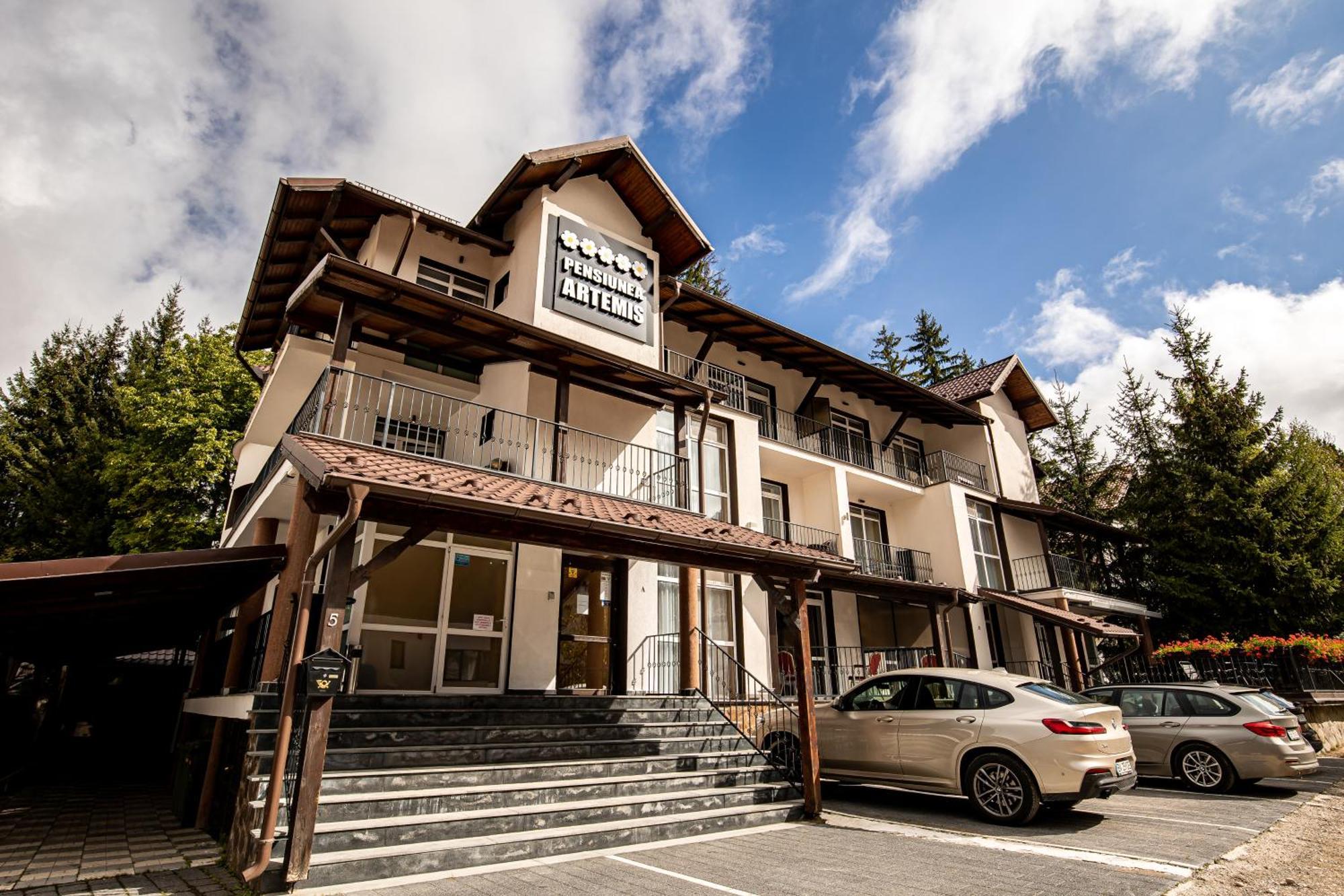 Artemis Villa Poiana Brasov Bagian luar foto