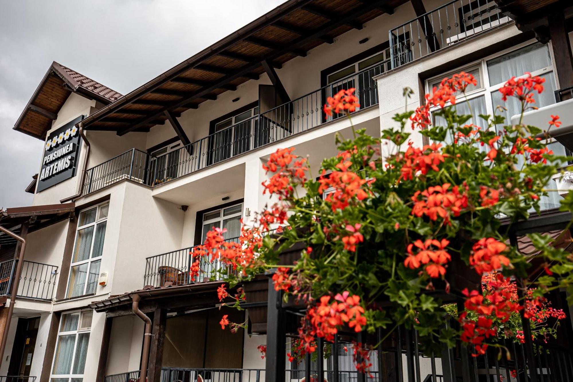 Artemis Villa Poiana Brasov Bagian luar foto