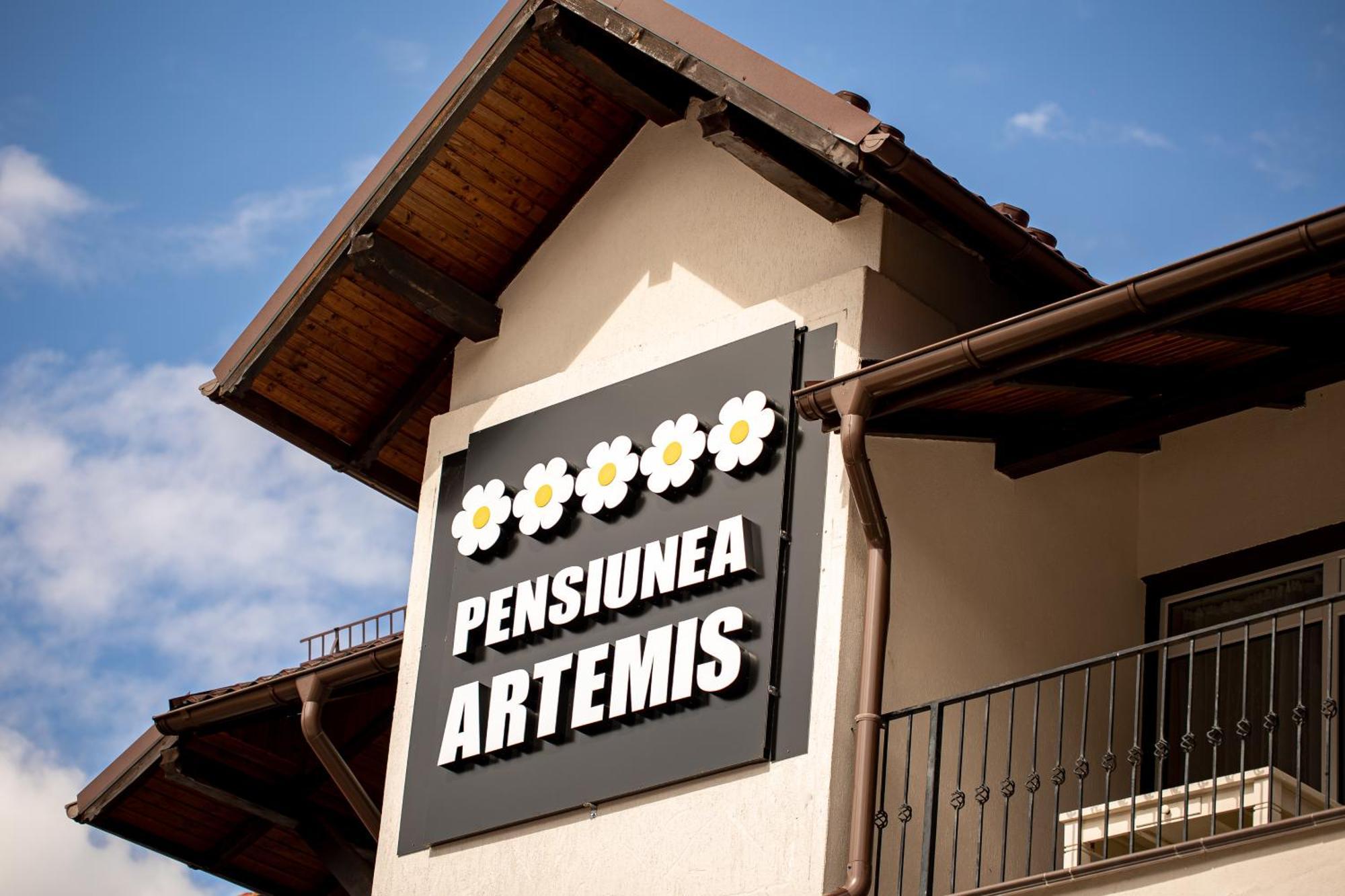 Artemis Villa Poiana Brasov Bagian luar foto