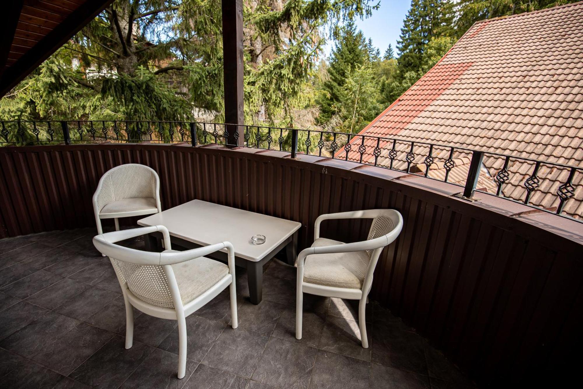 Artemis Villa Poiana Brasov Bagian luar foto