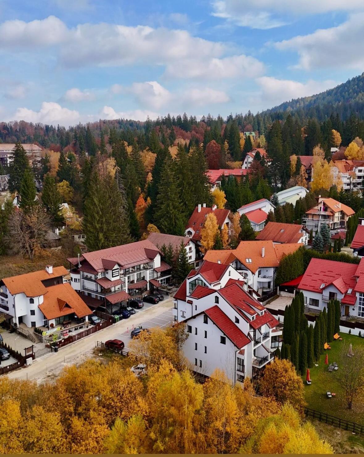 Artemis Villa Poiana Brasov Bagian luar foto